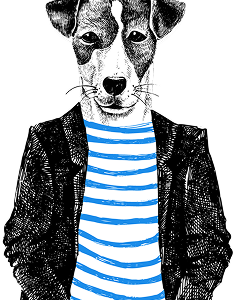 Dog personality test